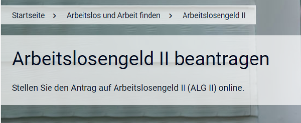 Bild vergr&ouml;&szlig;ern: Alg2 HA